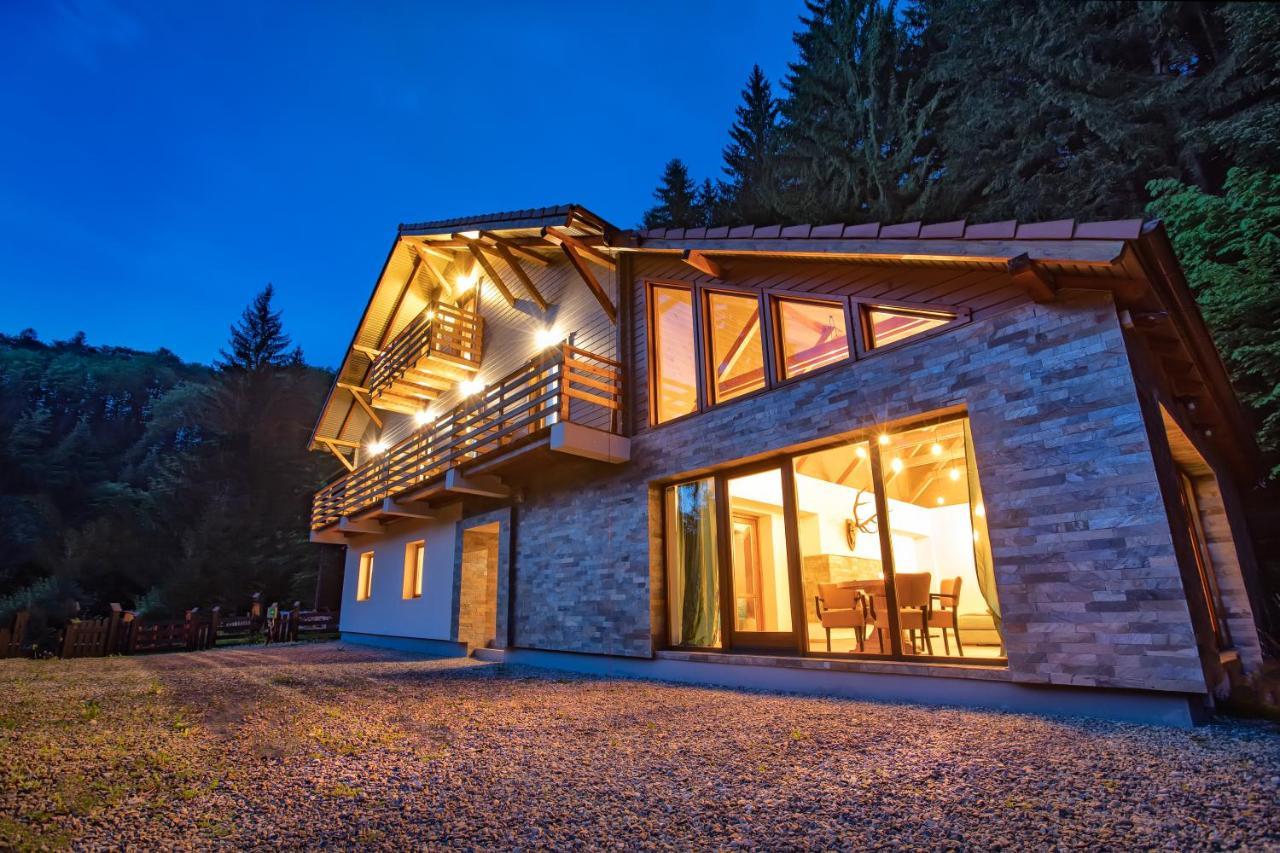 Chiba Chalet Timisu de Jos Exterior foto